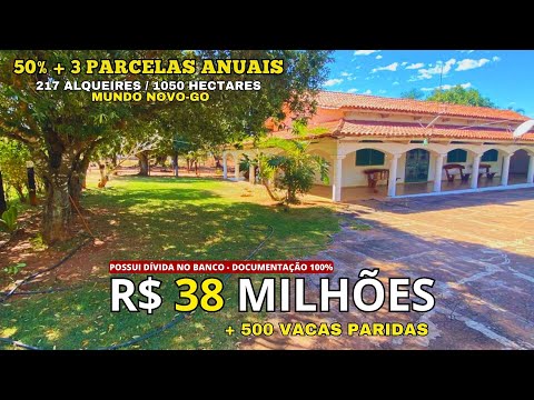 Fazenda de 1050 HA à venda em Mundo Novo no Goiás com 500 Vacas paridas por 38 Milhões e divide!
