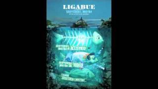 Ligabue - La linea sottile (versione acustica)