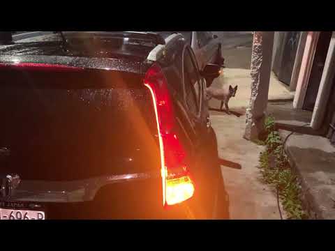 Luces LED secuenciales en honda CRV, freno y direccionales