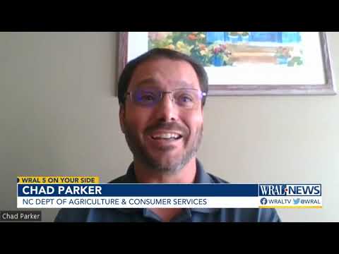 Stores fined for charging incorrect prices