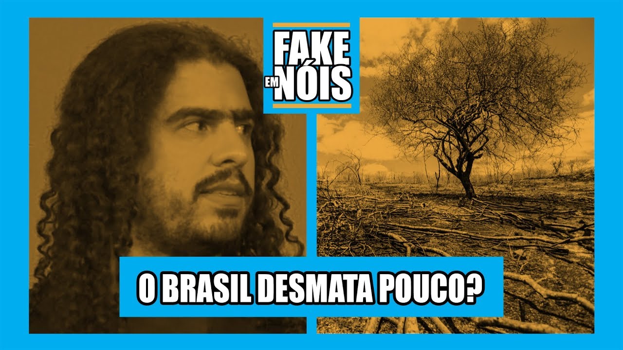 QUEIMADAS NA AMAZÔNIA: ENTENDA SOBRE O DESMATAMENTO | PIRULLA E GILMAR NO FAKE EM NÓIS