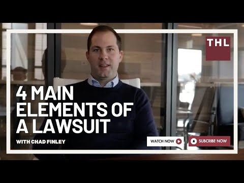 The FOUR Main Elements of a Lawsuit - Legal Learning Moment