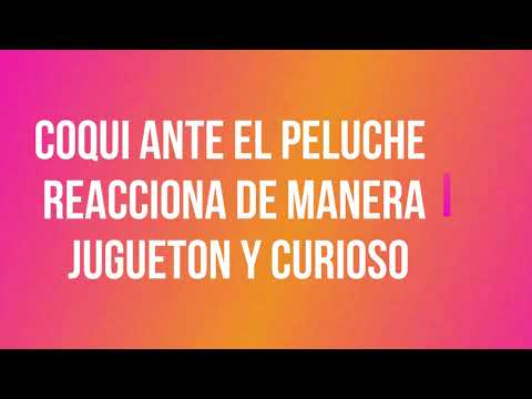 Condionamiento Clasico y Operante