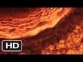 Universe Tree Of Life (2011) Universe Sequence HD ...