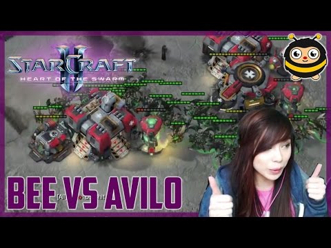 Aggressive Bee v Avilo