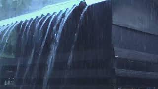 Best Rain Sounds for Sleeping | Real Heavy Rainstorm & Mighty Thunder on Tin Roof | White Noise