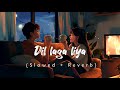 Dil Laga Liya (Male Version) Lofi || Slowed Reverb || lofi world