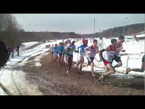 WXC Bydgoszcz 2013: 40th IAAF World Cross Country Championships - Junior race 8km