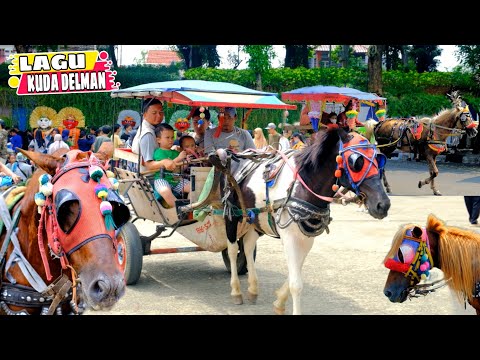 KUDA DELMAN ISTIMEWA ‼️ KUMPULAN LAGU NAIK KUDA DELMAN 2024 | KUDA | NAIK KUDA | KUDA DELMAN | HORSE