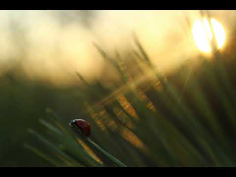 Alex Bartlett feat. Anthya - Touch the Sun (Duende Vocal Remix) [2007] HQ