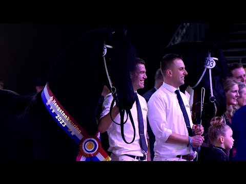 HK 2023 | Kampioenskeuring oudere hengsten