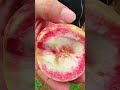 White peaches are ripe #peaches are ripe #peaches #Guizhou White Peach #Taste of childhood