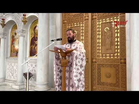 Speciale e ditës - E Diela 1 e Llukait (Peshkimi dhe nxënësit e parë) - Përgatiti Dhjakon Kristo