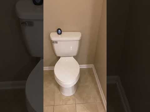 Before you rent an apartment in Grovetown...3BR /2 Baths , Split floor plan, fenced yard, 2car garage & Community pool +extra storage property video