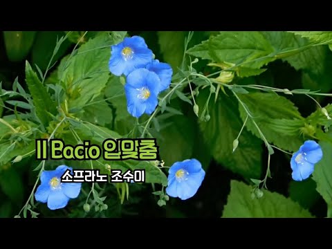 조수미-입맞춤 (Sumi Jo - Il Bacio) Luigi Arditi 작곡