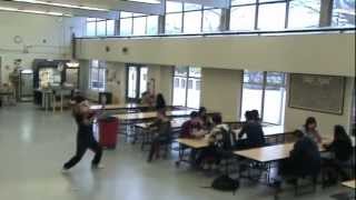 preview picture of video 'Burnaby North Secondary - Harlem Shake'