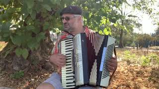 Things To Do In Denver When You&#39;re Dead (Warren Zevon, Mr. Bad Example, 1991) - played on accordion!