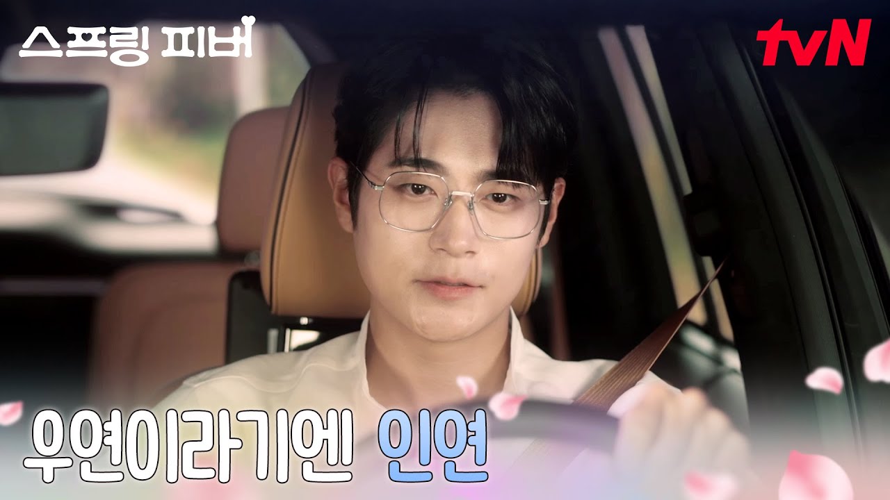 우연 같지 않은 만남, 이주빈을 마주친 차서원 #스프링피버 EP.3 | tvN 260112 방송