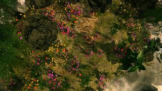 floral grove foggy day