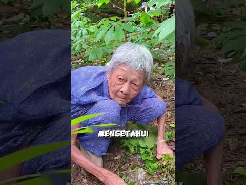 Nenek paling cerdas dalam sejarah
