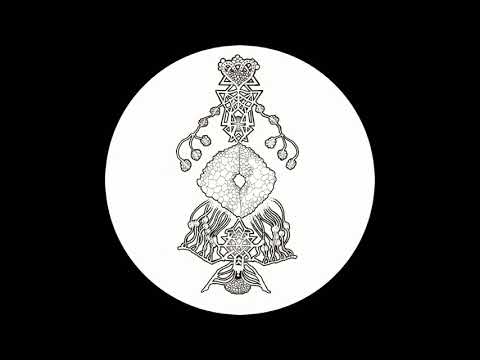 Diego Amura - Flow [MT18]