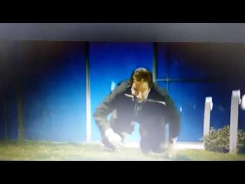 The Shaggy dog short clip