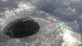 Рыбалка на людиновском водохранилище 2019