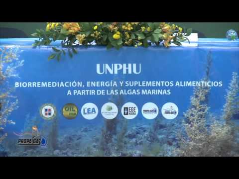 Conferencia: Biorremediación, energía y suplementos alimenticios a partir de algas marinas