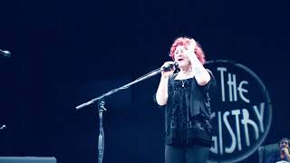 Ambre McLean - Penny for the Drought