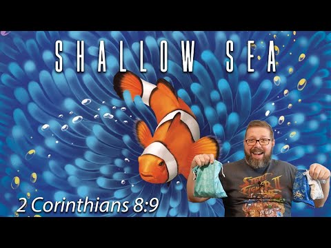 Shallow Sea Review