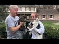 Savage Cats Attacking People Badass Cats Moments PETASTIC