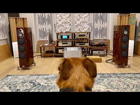 Audiophile Music Collection 2021 -  Deep Bass Best Voices