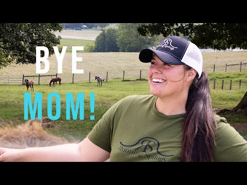 Weaning the 2023 Foals!