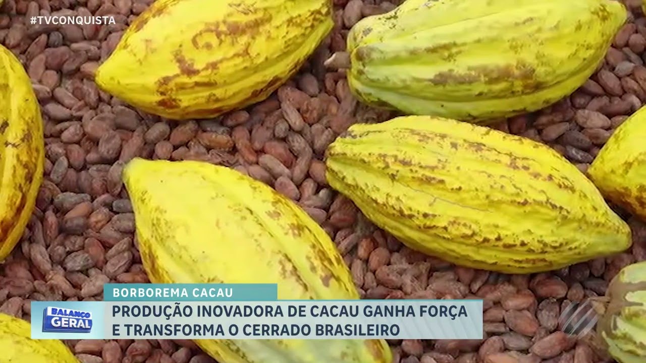 Cacau no Cerrado? Borboema aposta em tecnologia no Show Safra 2026