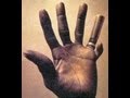 Hound Dog Taylor & the Houserockers  - Its Alright