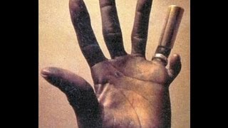 Hound Dog Taylor & the Houserockers  - Its Alright