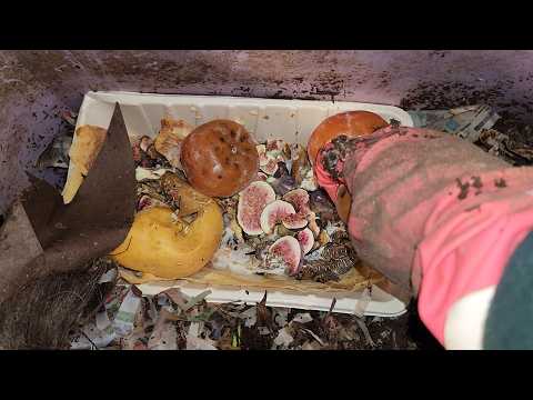 Mixed Worm Bin 2 Check-In & Feeding After 10 Days 2 February 2025 #vermicomposting #wormbin