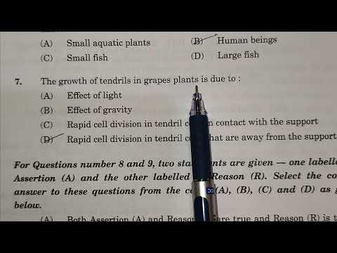 The growth of tendrils in grapes plants is due to rapid cell division in tendril cells that are away