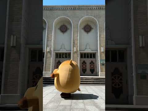 See Kobe U - 横断 / Passing by