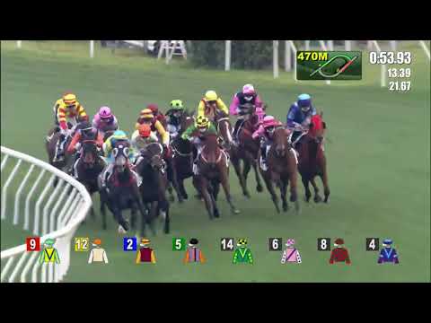 6/3/2022 (481) Galaxy Witness - J Moreira