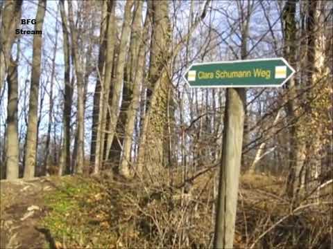 Vom Lockwitztal zu Schloß Röhrsdorf, Maxen und Weesenstein (Teil 1)