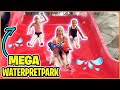 DAGJE iN GROOTSTE WATERPRETPARK VAN DUiTSLAND! ??? | Bellinga Vlog #2825