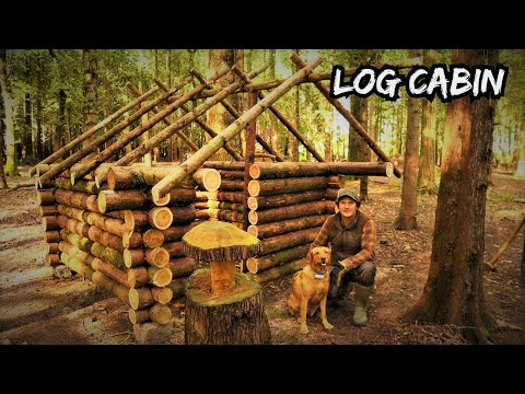 Building an Off Grid Log Cabin in a Woodland - Bushcraft Survival Project Wilderness Shelter ep2.