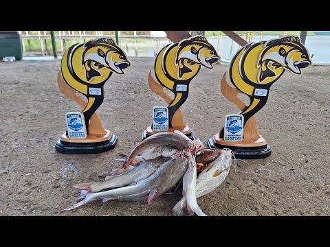 1° TORNEIO DE PESCA ARTESANAL EM VISTA ALEGRE,  MARAPANIM-PA.  VEJAM ☝️