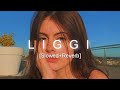 Liggi Slowed Reverb