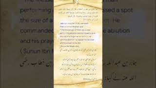 Download lagu Sabda Nabi Muhammad SAW tentang melewatkan bagian tertentu saat wudhu #hadits #akhirat #quran #islam #kabah mp3 Download lagu Sabda Nabi Muhammad SAW tentang melewatkan bagian tertentu saat wudhu #hadits #akhirat #quran #islam #kabah mp3
