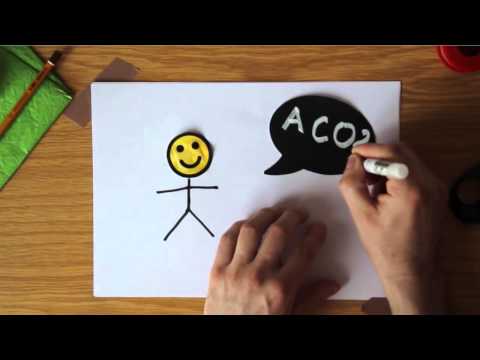 Fobo.cz - prodej to, co umíš