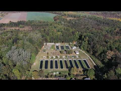 Pastravaria Moara Domneasca - Locul de unde se poate cumpăra cel mai bun pastrav din tara