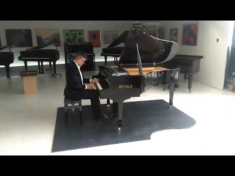 F. Chopin - etude (Revolutionary)- Mihael Timotej Pastonjicki