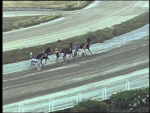 Trotto 14/06/2015 - 2° prova di riqualifica